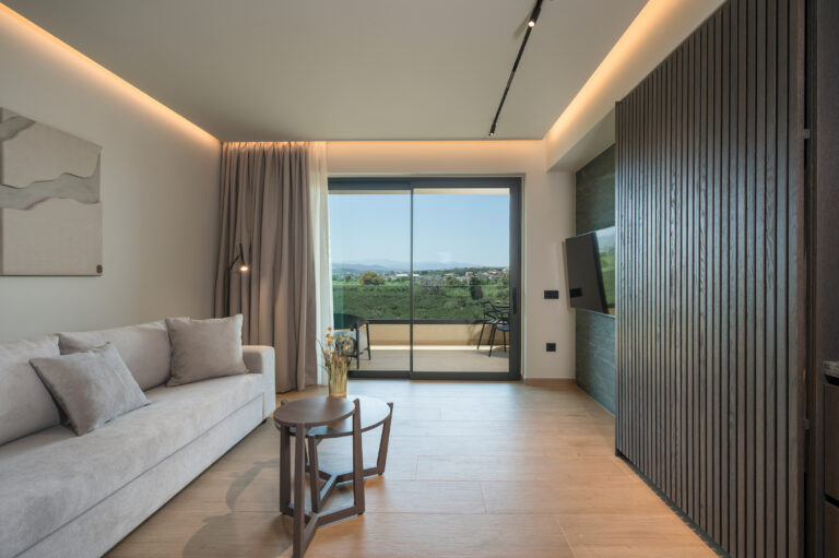One Bedroom Family Apartment